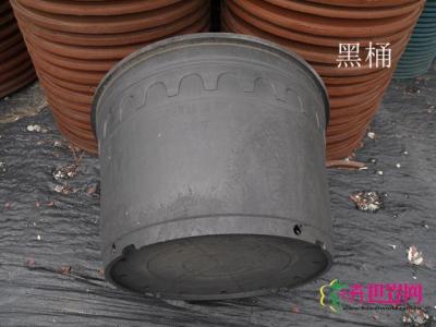 黑桶